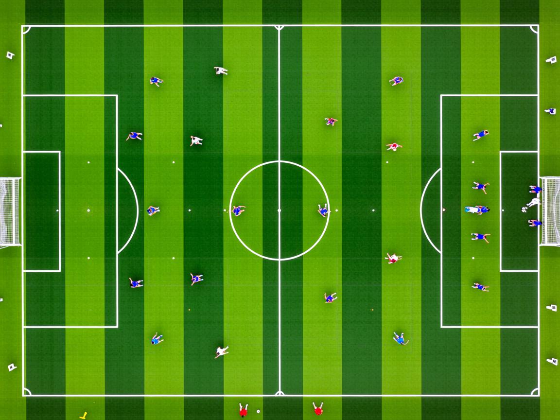 爱游戏app安装-体能与技术动作效率数据关系，体能与运动技能的关系  第3张